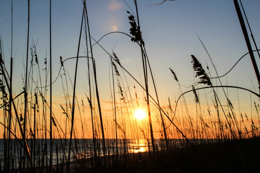 innisfree hotels resort markets